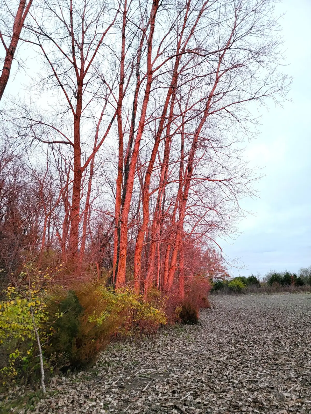 414 W Sparrow Road, Springfield, OH 45502 - #1