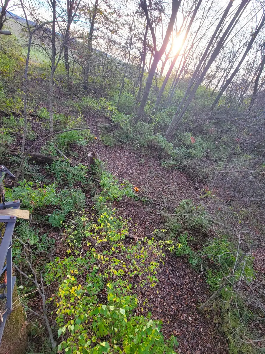 414 W Sparrow Road, Springfield, OH 45502 - #3