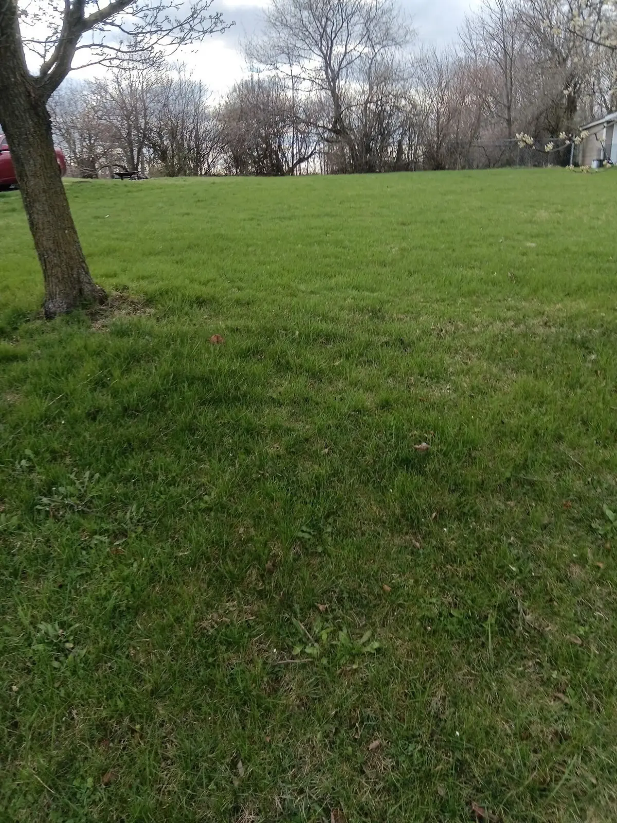 0 Montgomery Avenue, Springfield, OH 45506 - #1