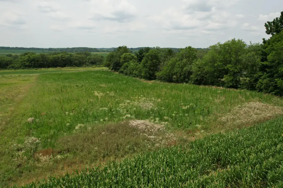 . Township Rd 188, West Liberty, OH 43357 - #3