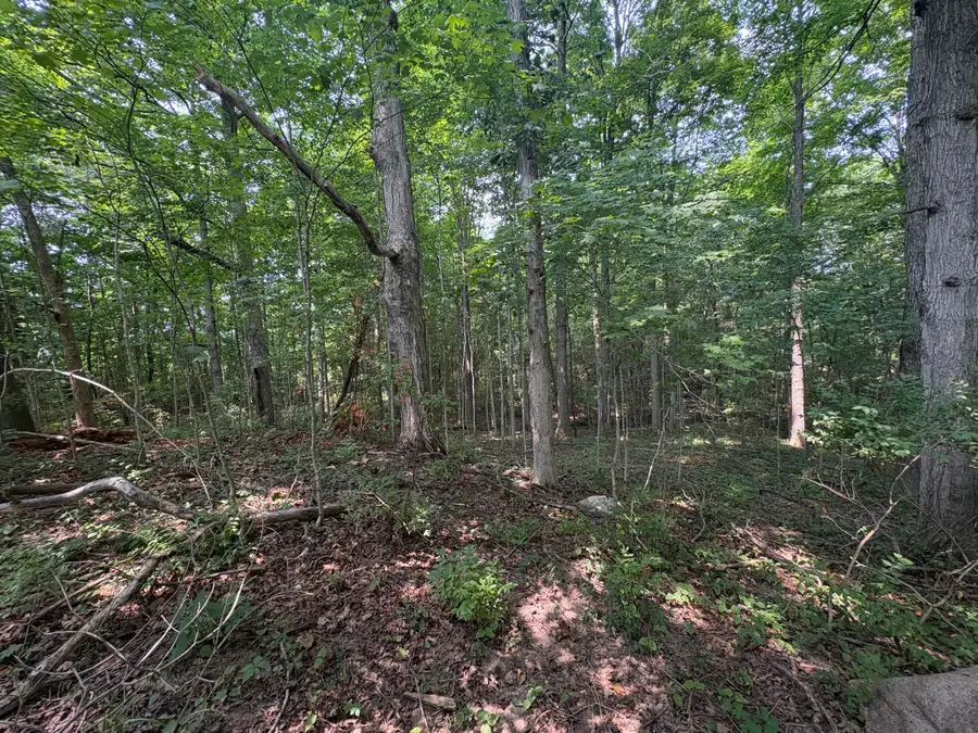 0 Licklider Road, Conover, OH 45317 - #3