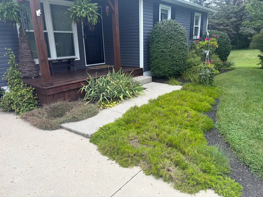 804 Sidney Street, West Liberty, OH 43357 - #3