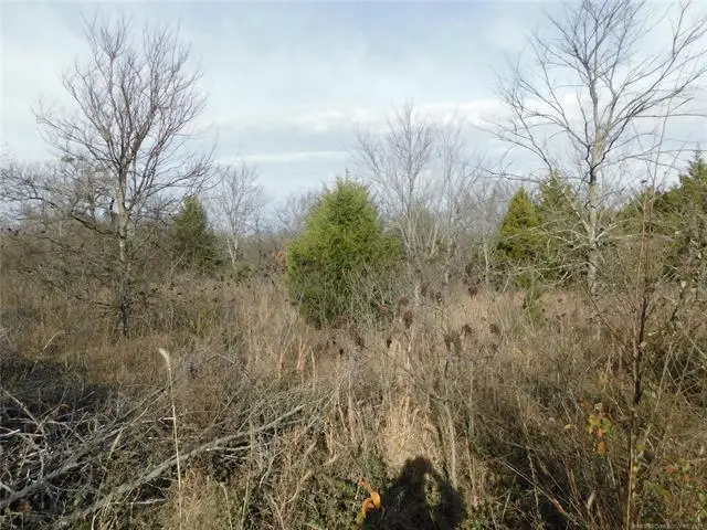 Lilac Drive, Eufaula, OK 74432 - Image #2