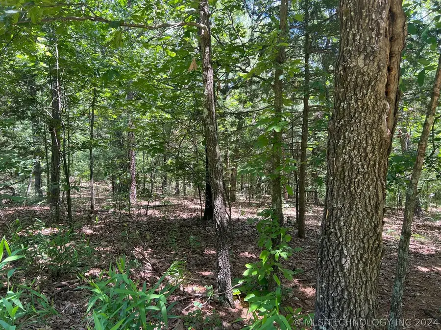 S 4409, Locust Grove, OK 74352 - Image #2