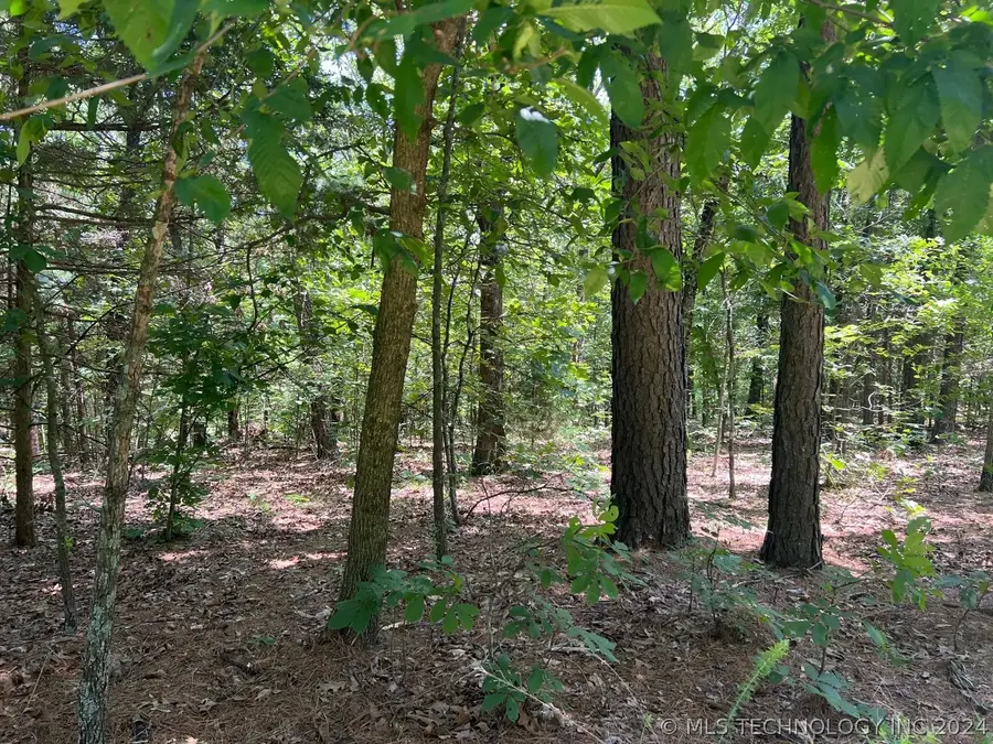 S 4409, Locust Grove, OK 74352 - Image #3