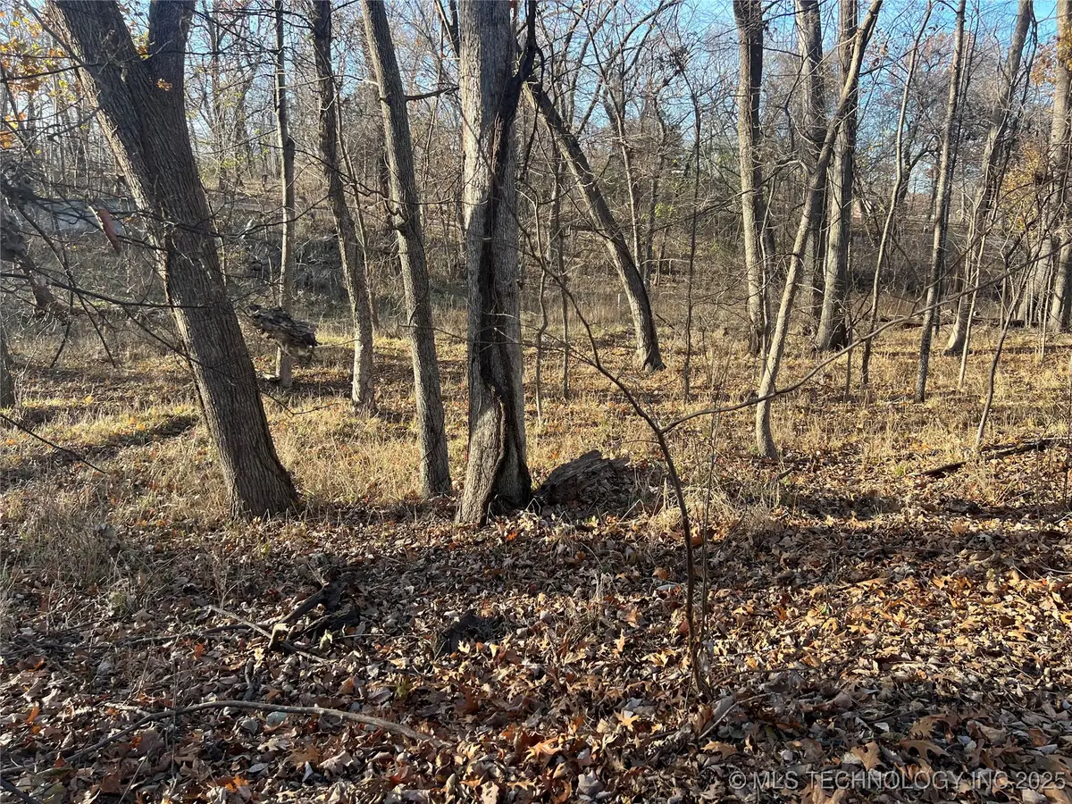 Kansas Drive, Monkey Island, OK 74331 - Image #1