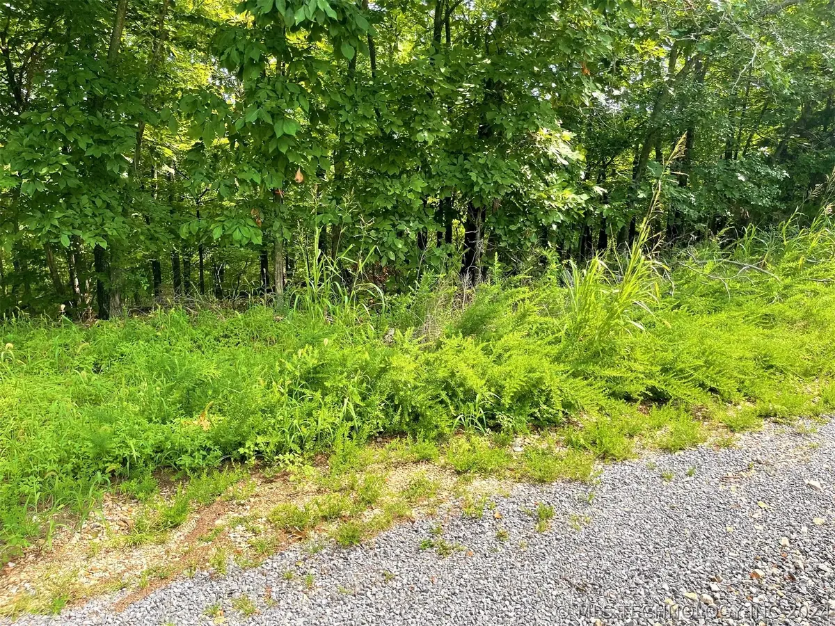 W Canyon Rock Road, South Cherokee, OK 74427 - Image #1