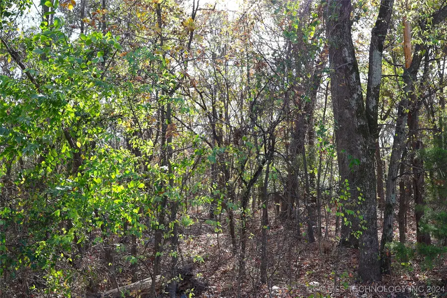 E 700 Road, Wagoner, OK 74467 - Image #3