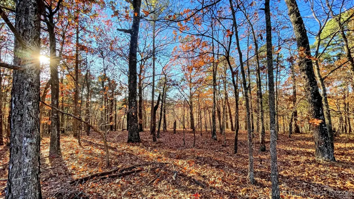 14 Big Bear Road, Kansas, OK 74347 - Image #1