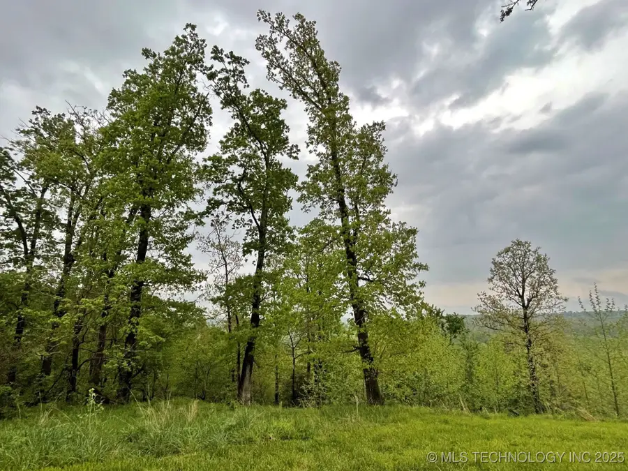 1229 Pheasant Run Road, Kansas, OK 74347 - Image #2