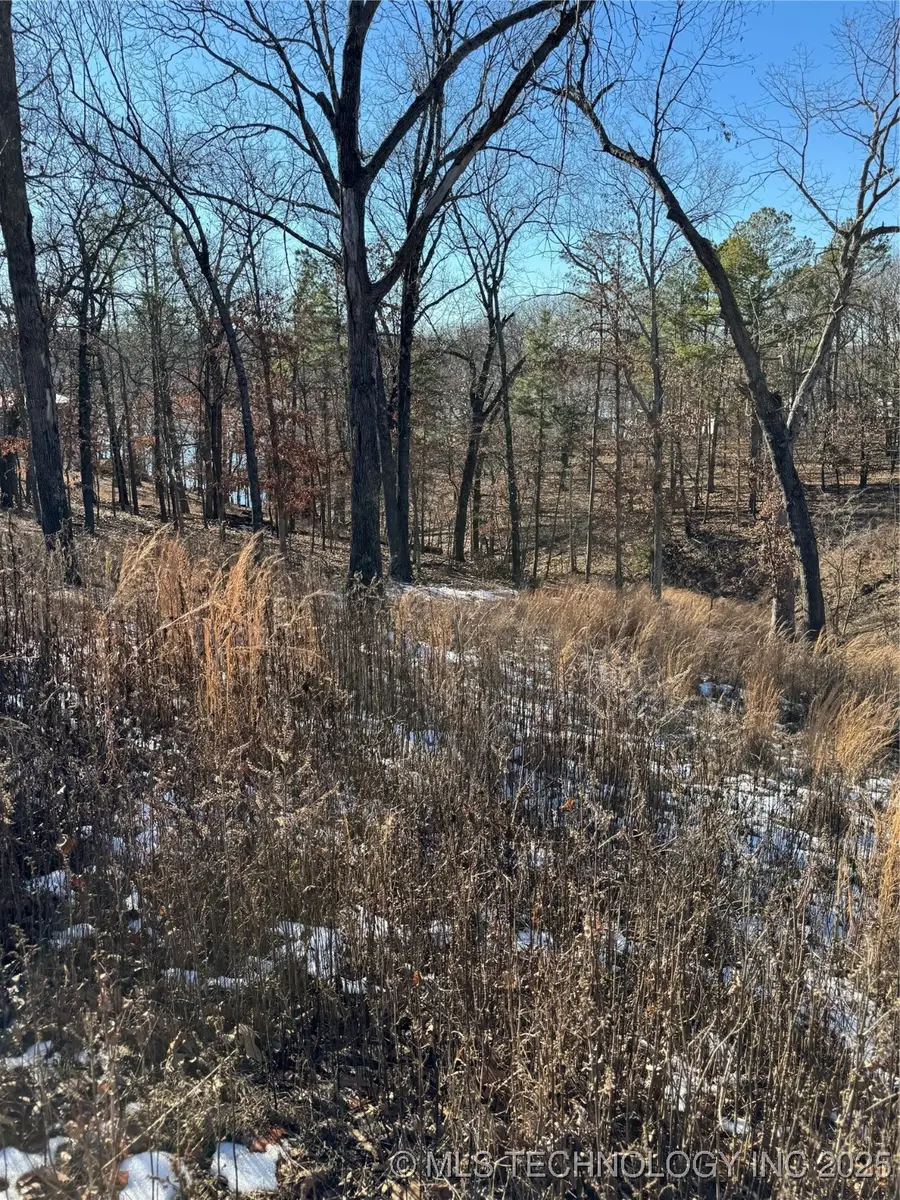 34437 S 539 Road, Jay, OK 74346 - Image #2