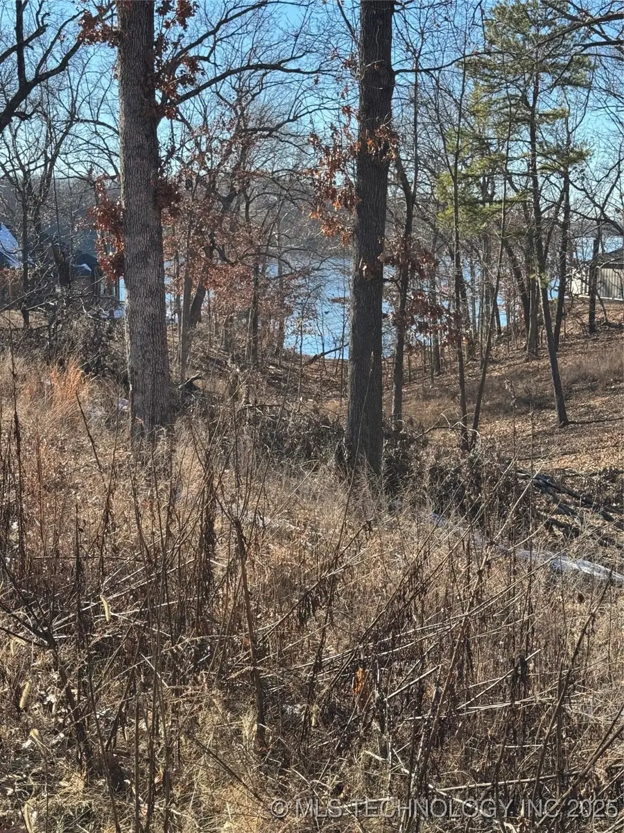 553868 E 344 Place, Jay, OK 74346 - Image #2