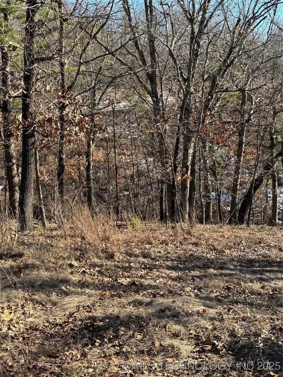 34443 S 539 Road, Jay, OK 74346 - Image #2