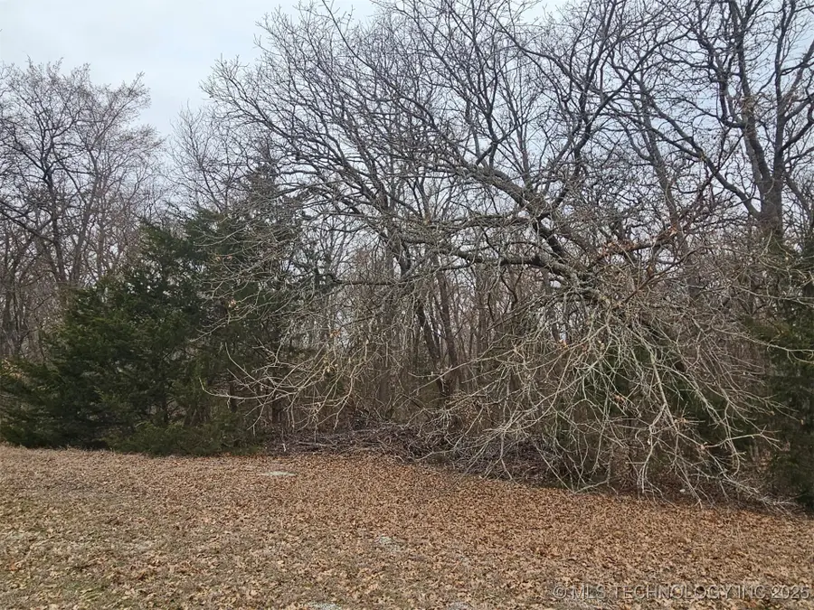 Rio, Burneyville, OK 73430 - Image #2