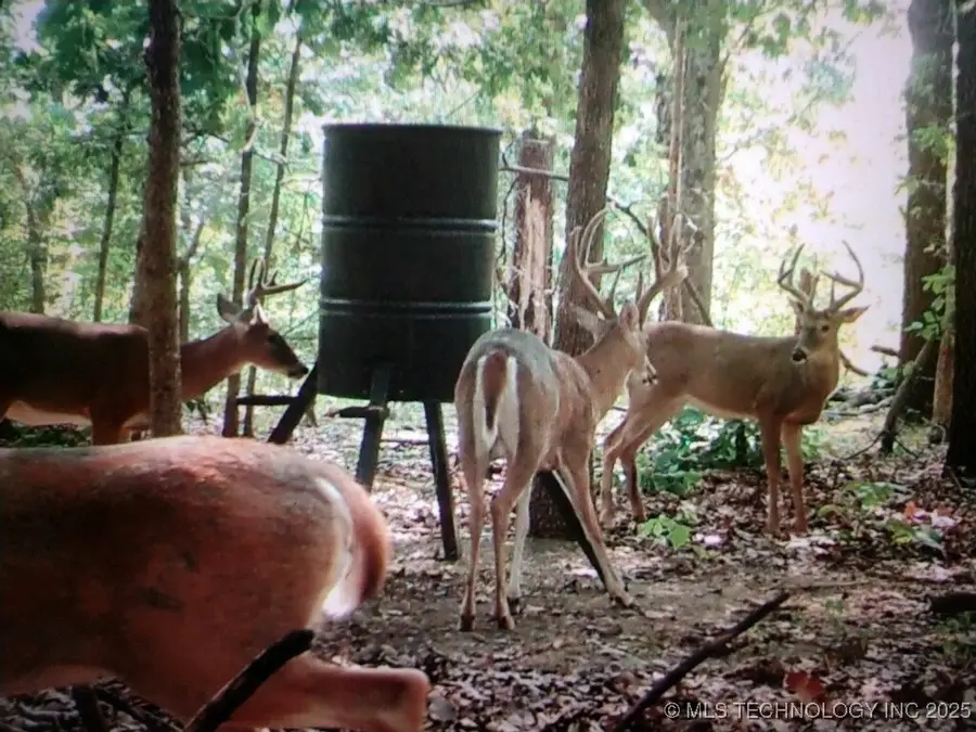 510 Road, Kansas, OK 74347 - Image #2