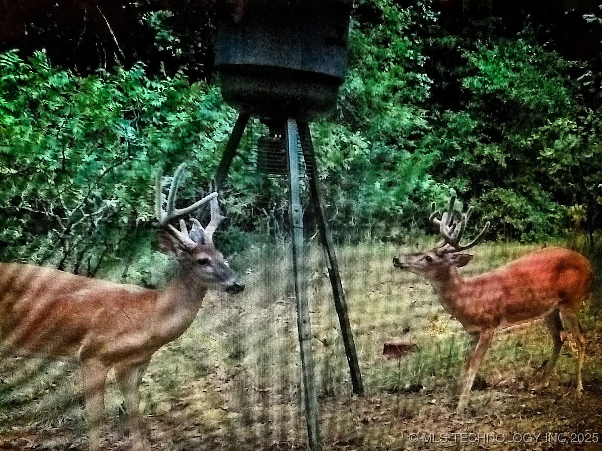 5811 W Folsom Road, Caddo, OK 74729 - #1