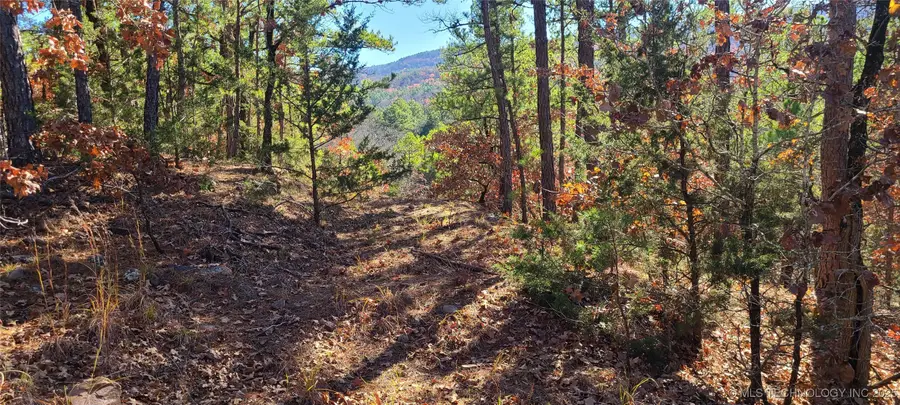 00001 Indian Highway, Albion, OK 74521 - Image #2