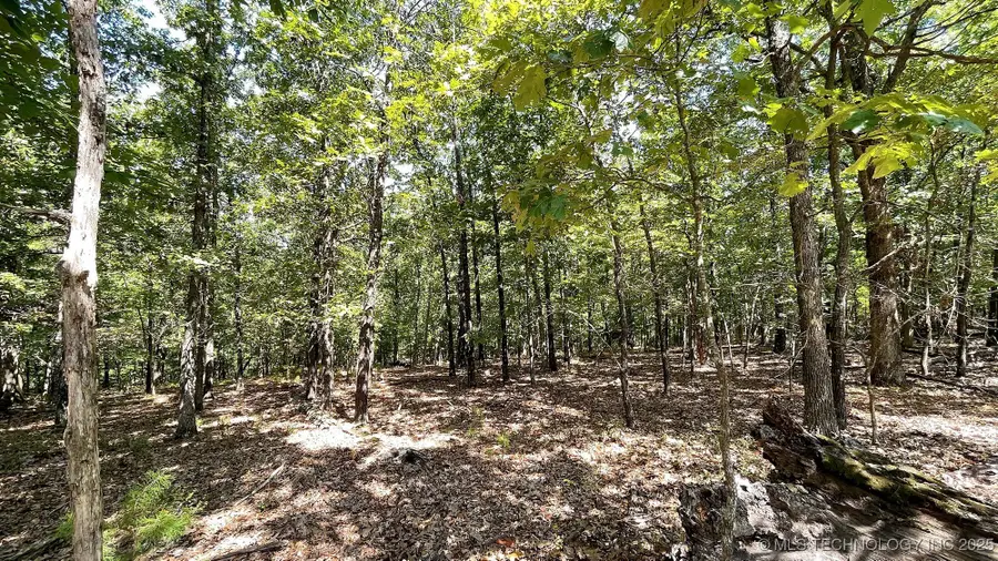 492 Deer Creek Road, Kansas, OK 74347 - Image #3