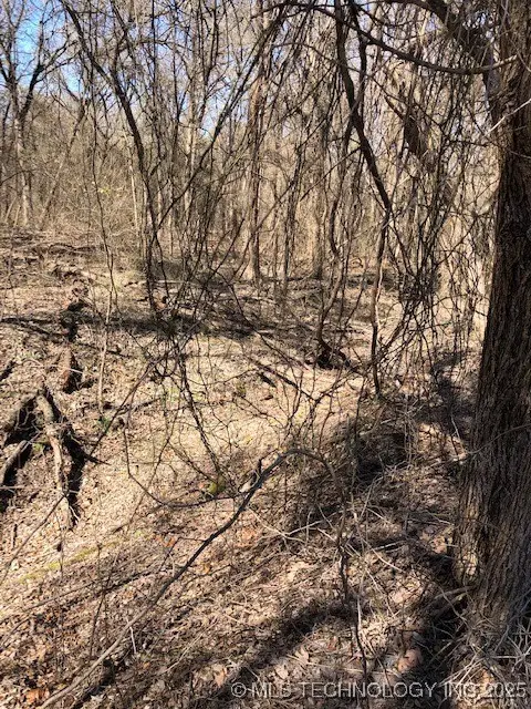 7 Golf Club, Burneyville, OK 73430 - Image #2