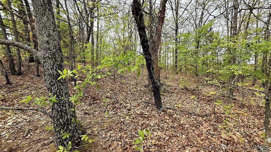 15208 Overland Drive, Park Hill, OK 74451 - Image #3