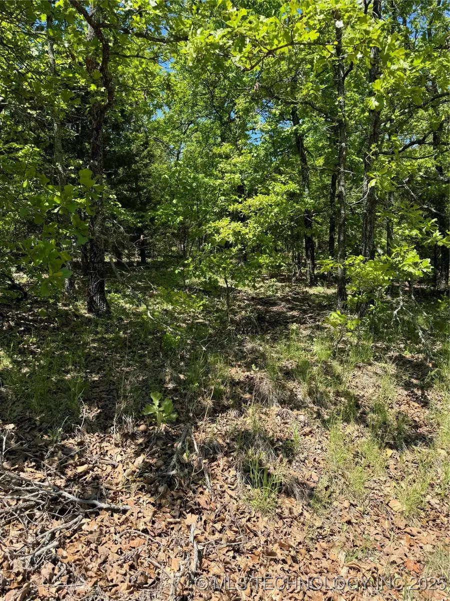 27 S 4532 Road, Vian, OK 74962 - Image #3