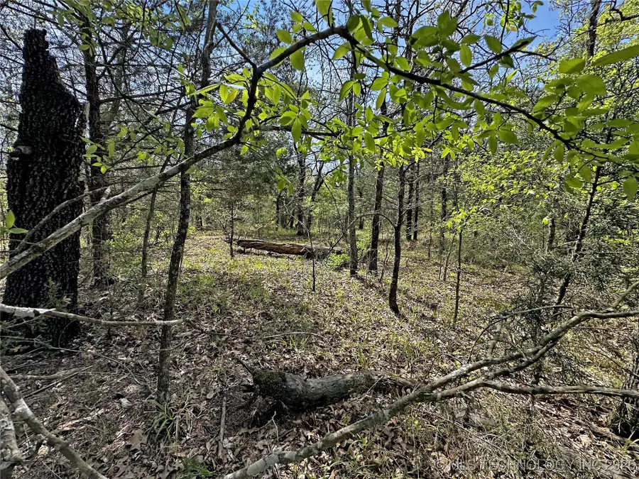 000 E 1620 Road, Talihina, OK 74571 - Image #3
