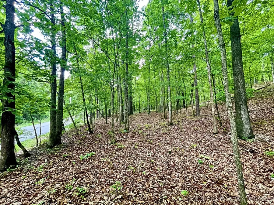 8128 W Clear Creek Road, Kansas, OK 74347 - Image #2