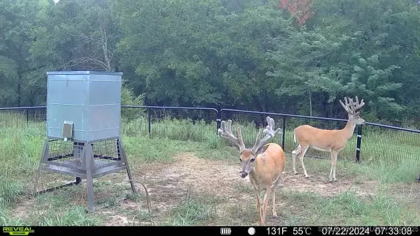 N County Road 3740, Tupelo, OK 74572