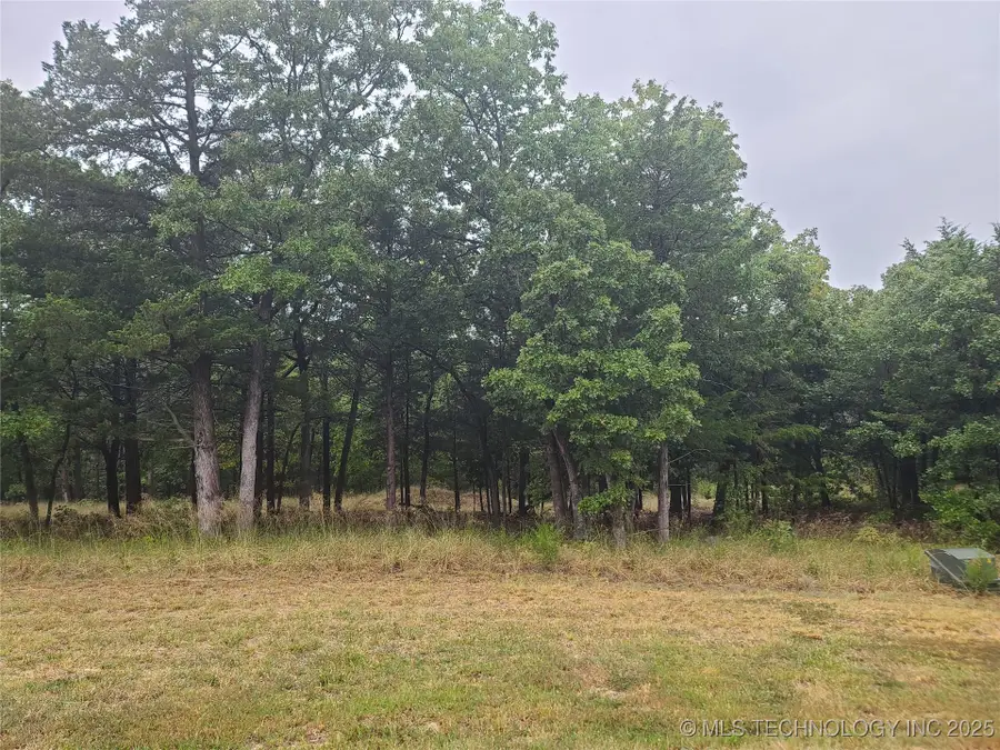 17 Sleepy Hollow Road, Cleveland, OK 74020 - Image #2