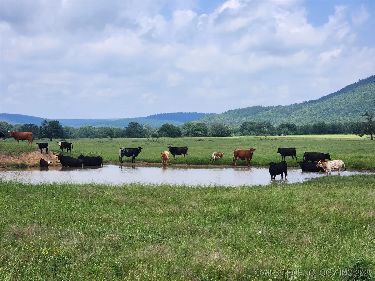 8014 SE Hwy 63, Talihina, OK 74571 - Image #1