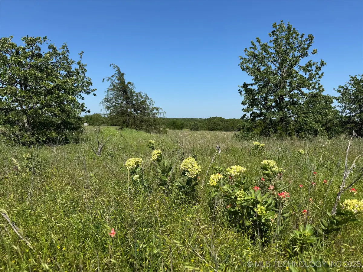 2668 Buck Horn Road, Healdton, OK 73438 - Image #1