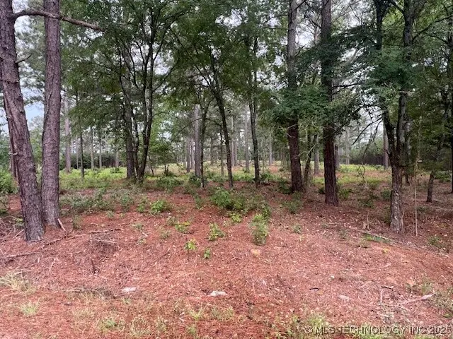 2 N 4140 Road, Antlers, OK 74523 - #1