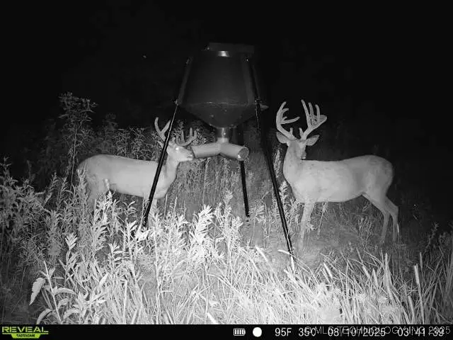 11 SE Lenapah Street, Skiatook, OK 74070 - #3