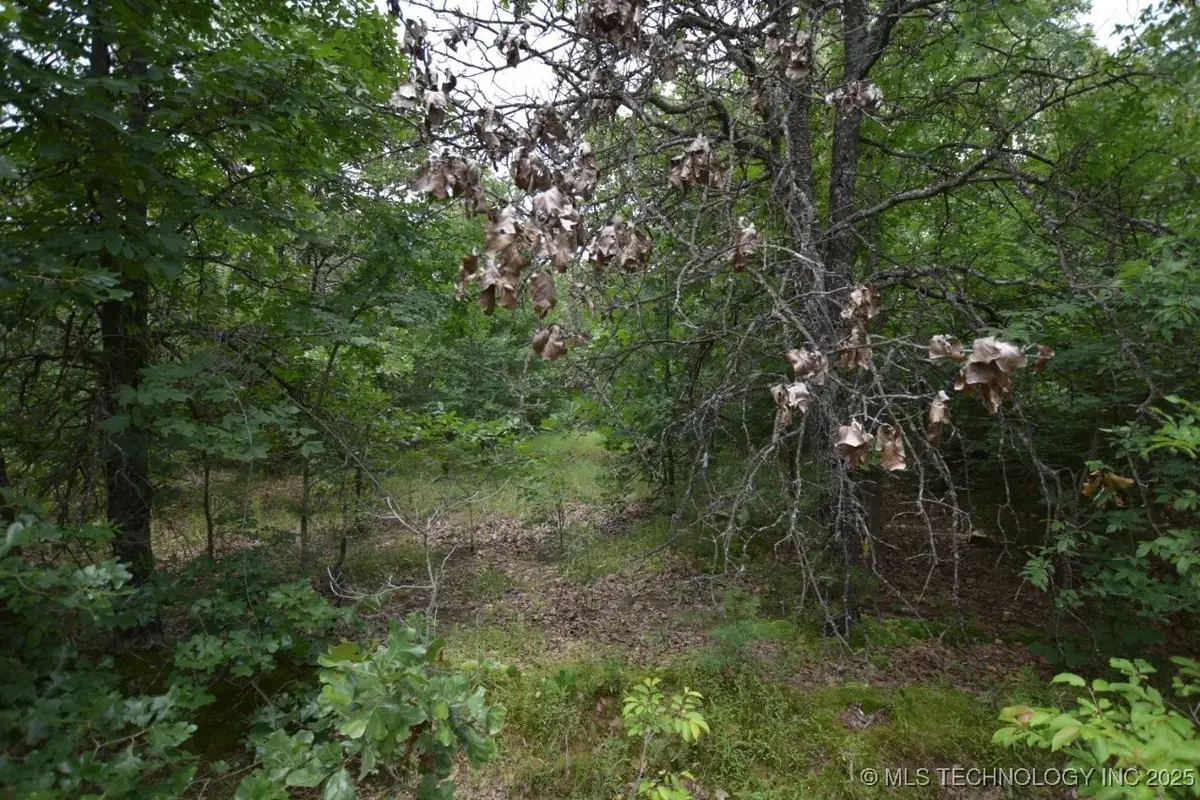 4 Darcy Drive, Vian, OK 74962 - Image #1