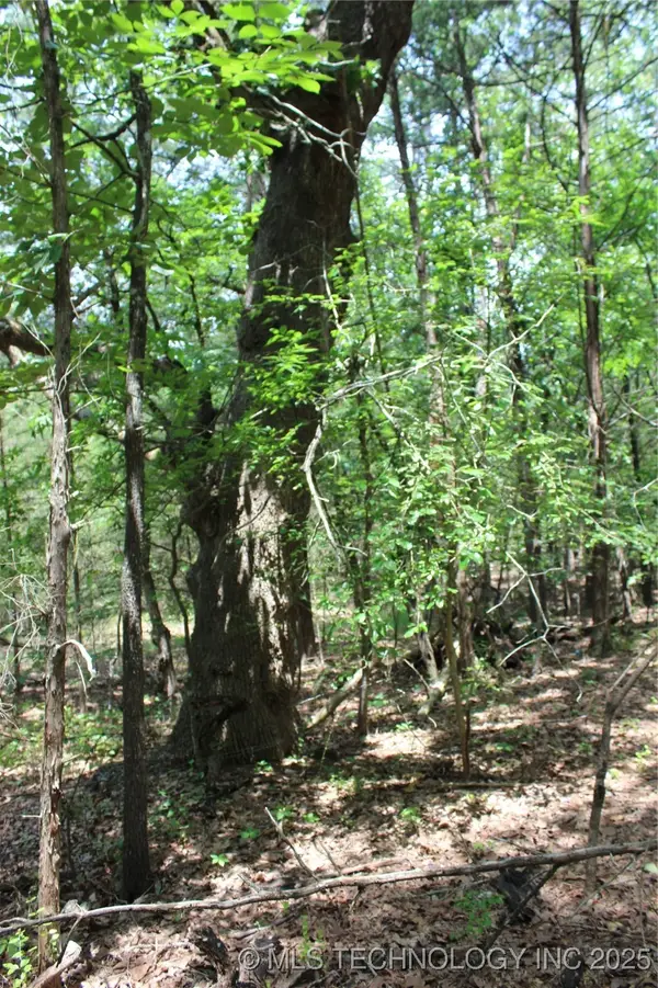 5 E 1909 Road, Antlers, OK 74523