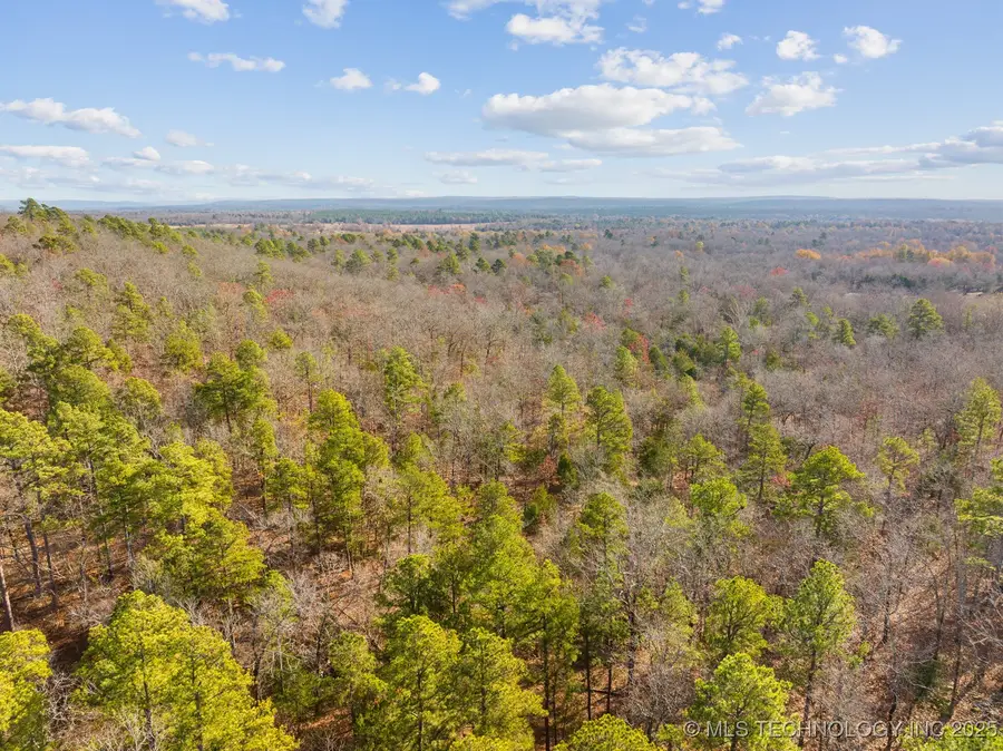 50 Tram Trail, Rattan, OK 74562 - Image #2