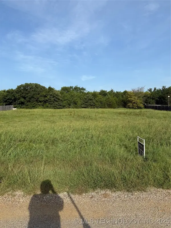 High Chaparal Drive, Lone Grove, OK 73443