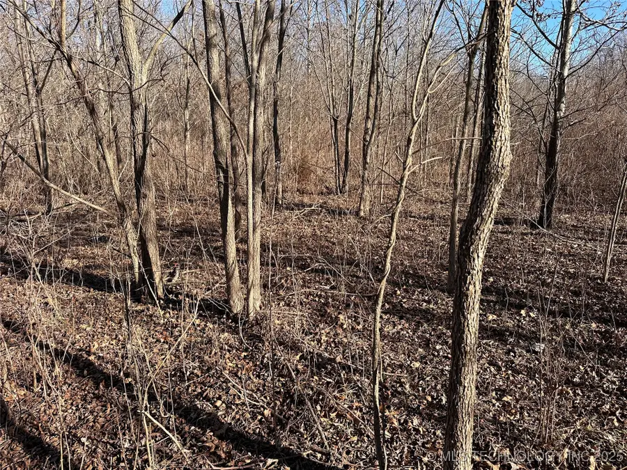 0002 E 84th Street N, Sperry, OK 74073 - Image #2