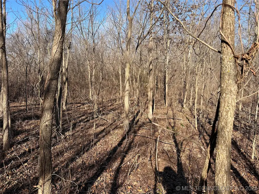 0002 E 84th Street N, Sperry, OK 74073 - Image #3