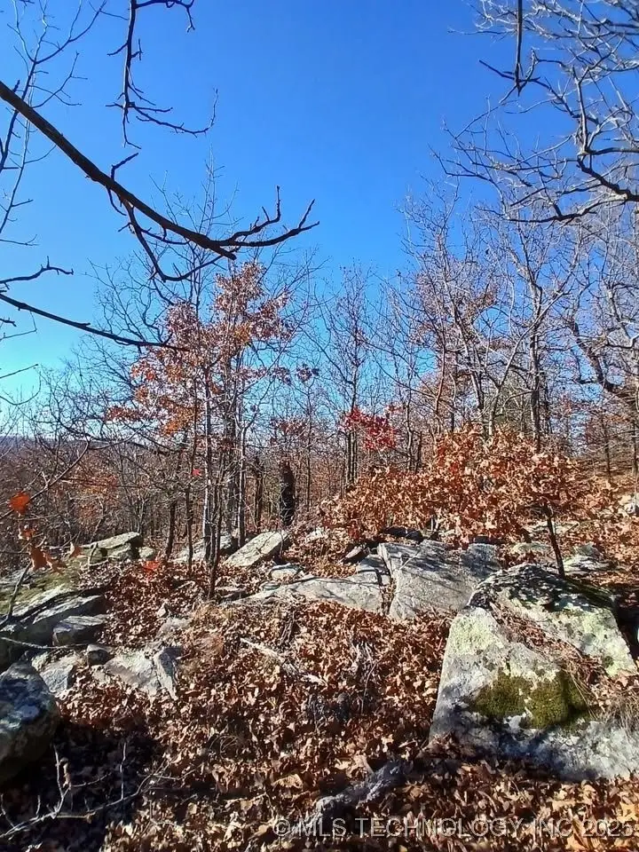 1 Mile Road, Stigler, OK 74462 - Image #3