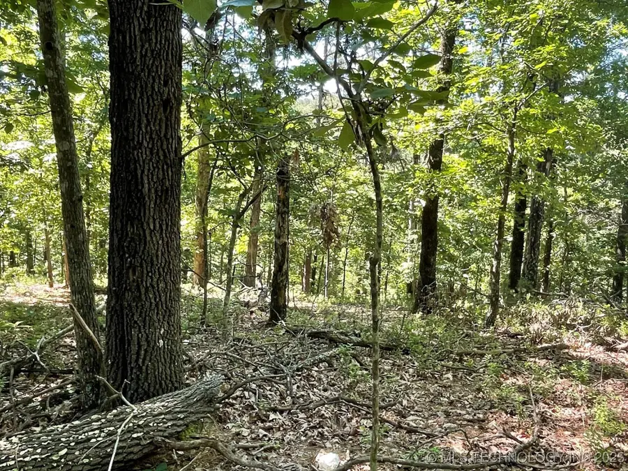 1372 Palomino Lane, Kansas, OK 74347 - Image #2