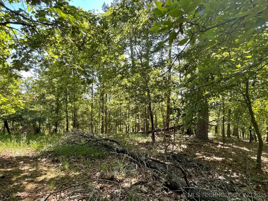 1372 Palomino Lane, Kansas, OK 74347 - Image #3