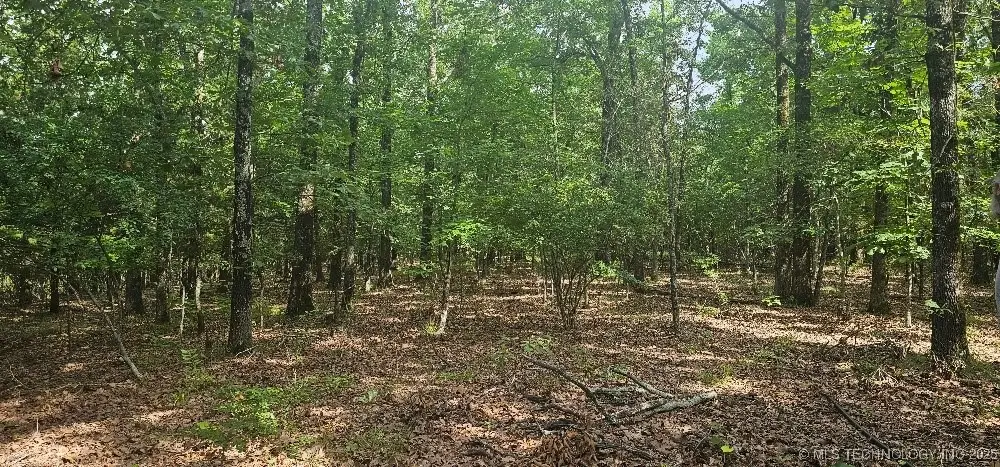 3137 E 2015 Road, Sawyer, OK 74756 - Image #1