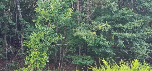 E Moonshine/1000 Road, Gore, OK 74435