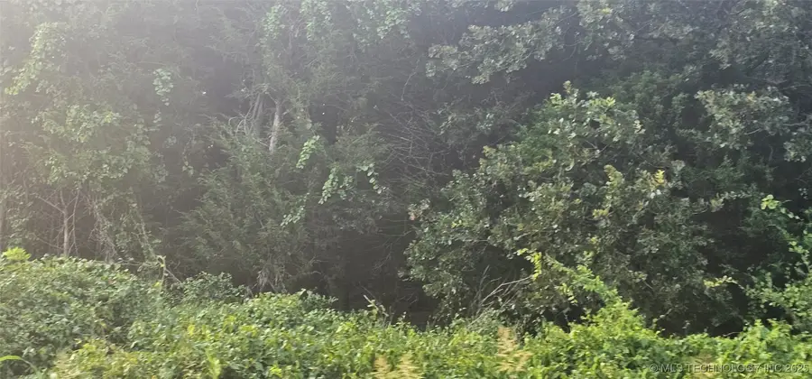 E Moonshine/1000 Road, Gore, OK 74435 - Image #3