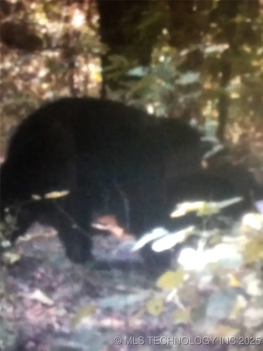 1 S 4582 Road, Marble City, OK 74945 - Image #3