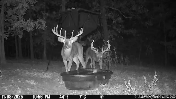 21501 S 705 Road, Wyandotte, OK 74370 - Image #2