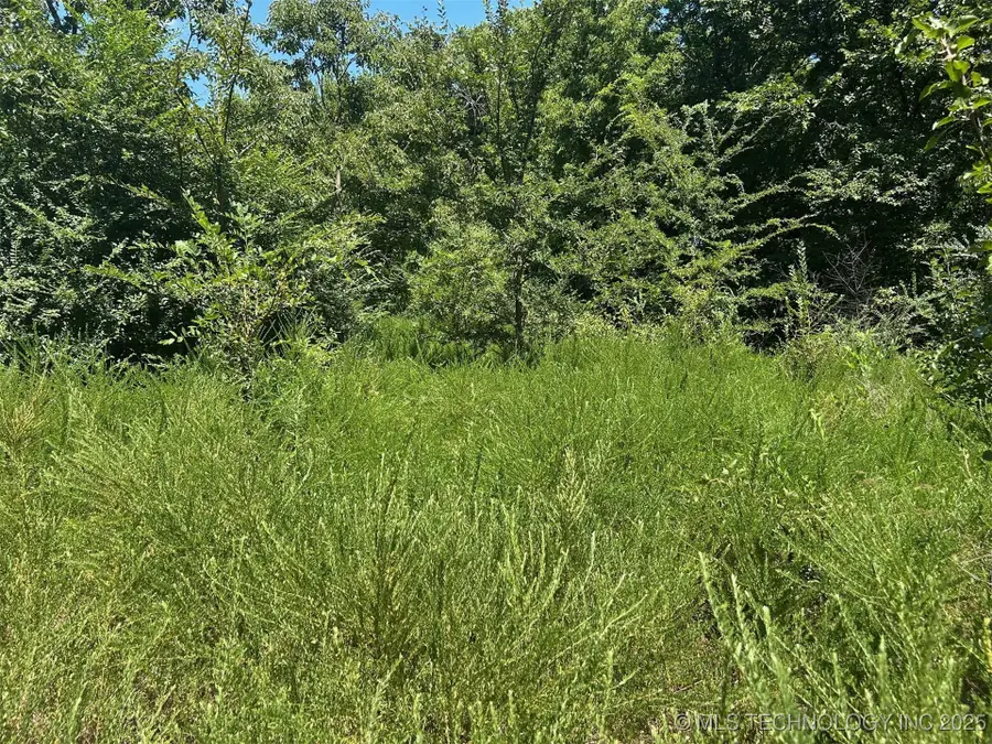 Cottonwood Road, Roland, OK 74954 - Image #2