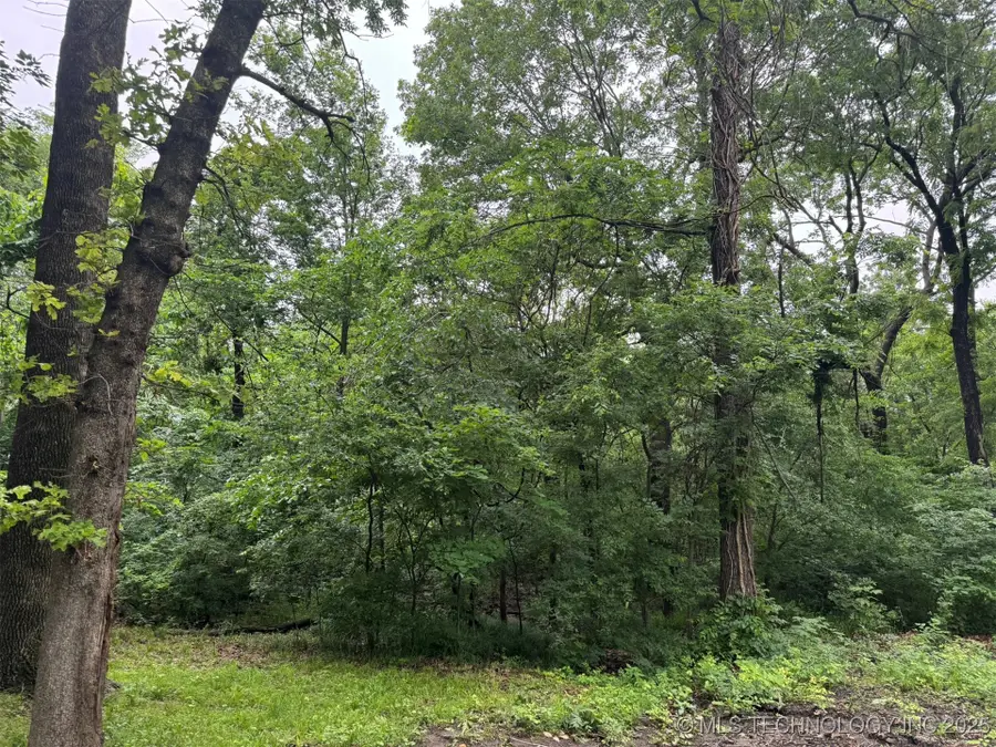 0 S Maple Street, Claremore, OK 74019 - Image #3