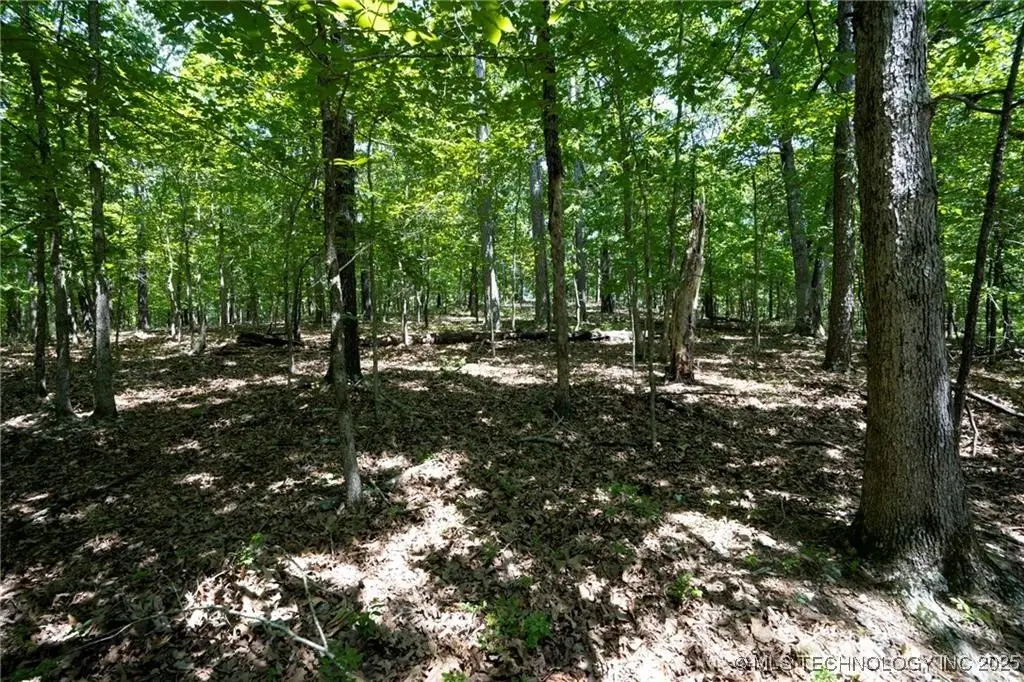 1103 Brown Bear Trail, Kansas, OK 74347 - Image #1